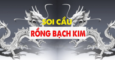 Soi cầu Rồng Bạch Kim chính xác 100 - Rồng Bạch Kim 666